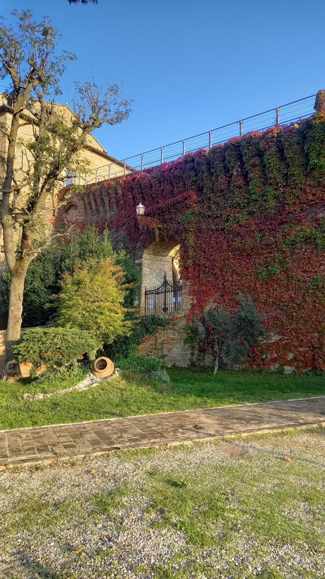 Novecento Apartamento Bertinoro Exterior foto